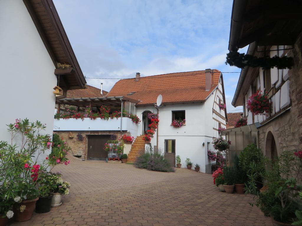Location Alice Villa Ottrott Exterior photo